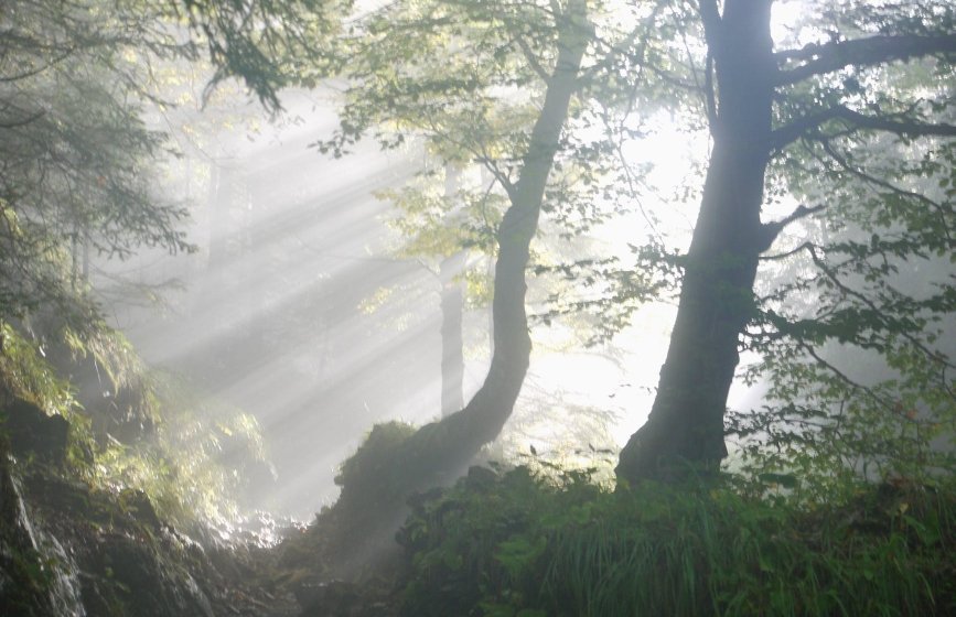 पूरी दुनिया की 16 सबसे रहस्यमयी जगहें | 16 most mysterious places in the whole&nbsp;world.